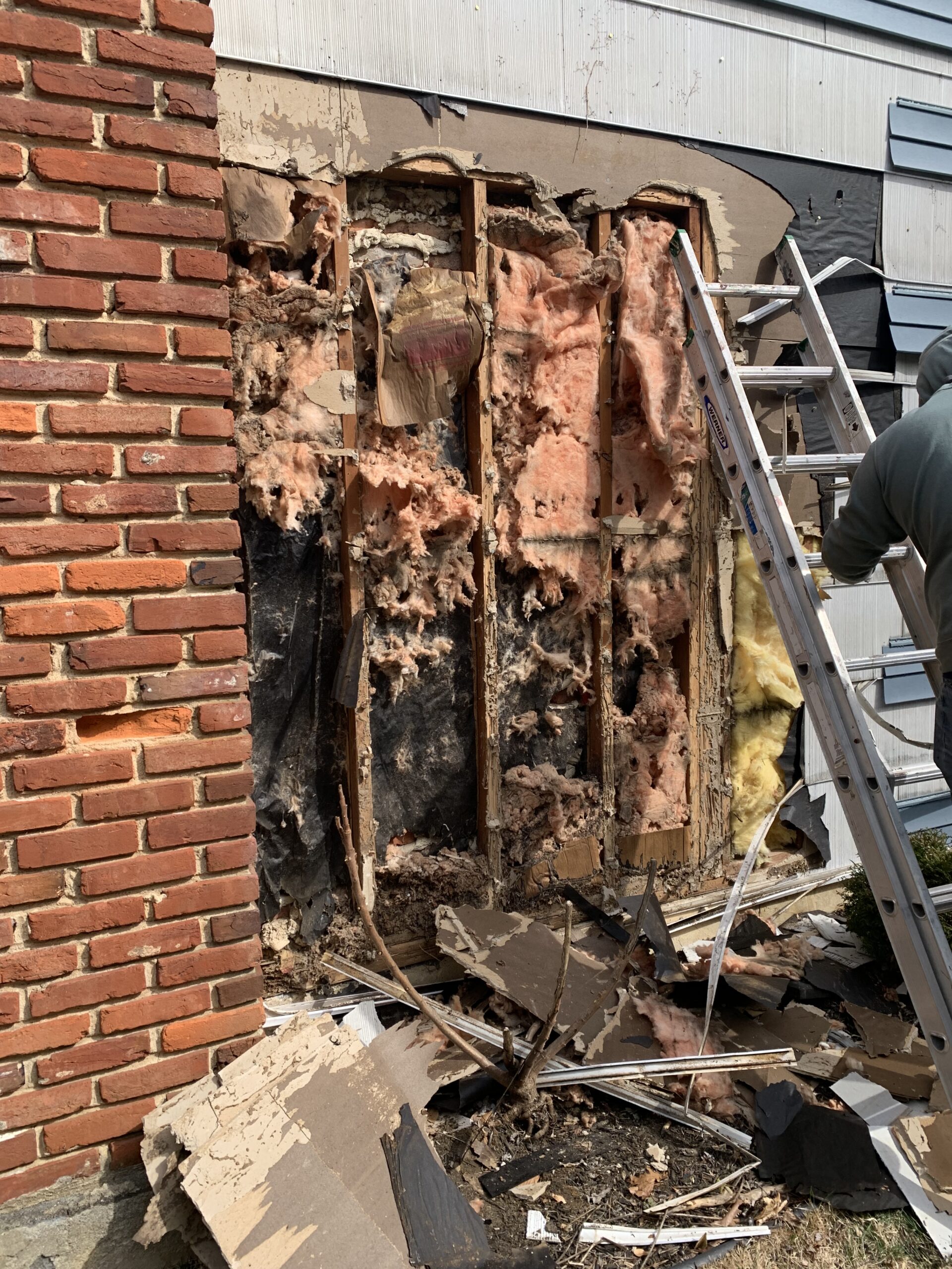 termite damage repair in south jersey