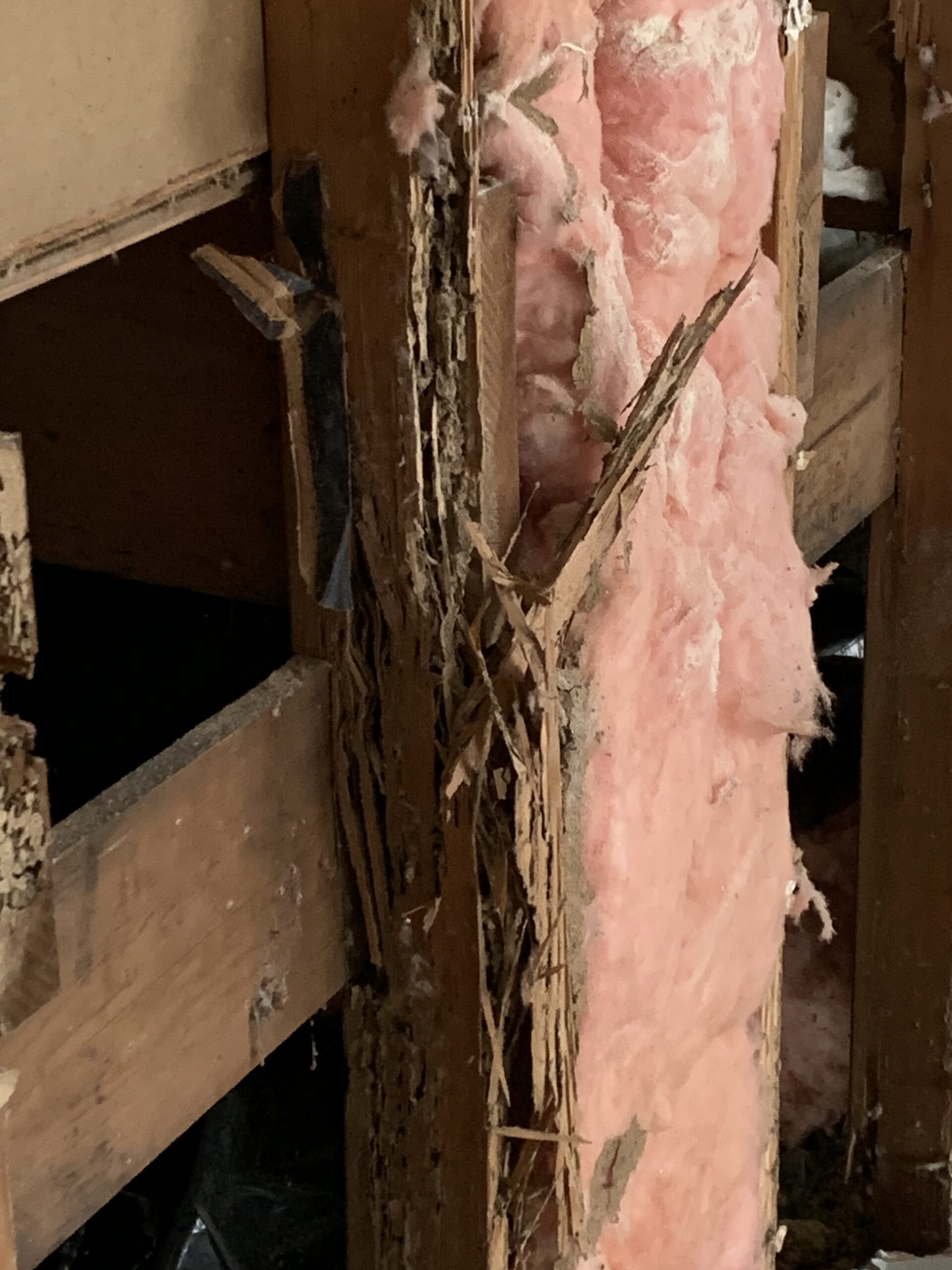 termite damage repair