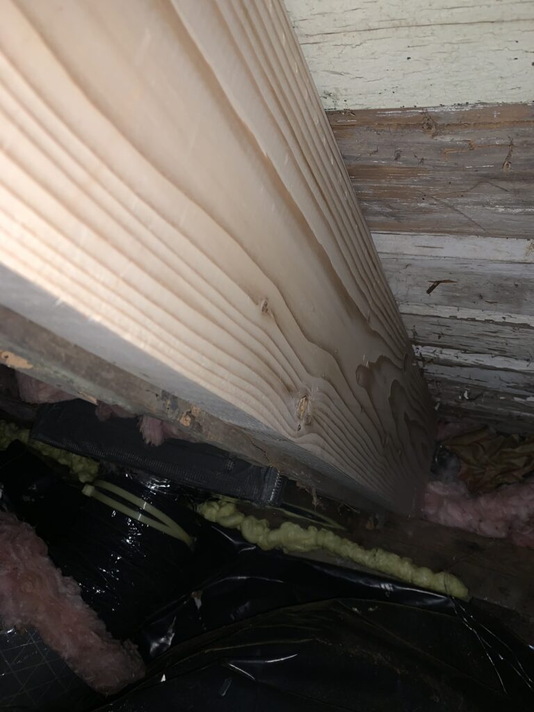 termite damage repair