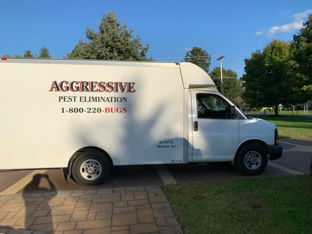 aggressive truck